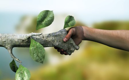 Ekoloji: Doğal Çevrenin Korunması ve Sürdürülebilir Geleceğimiz İçin Önemi